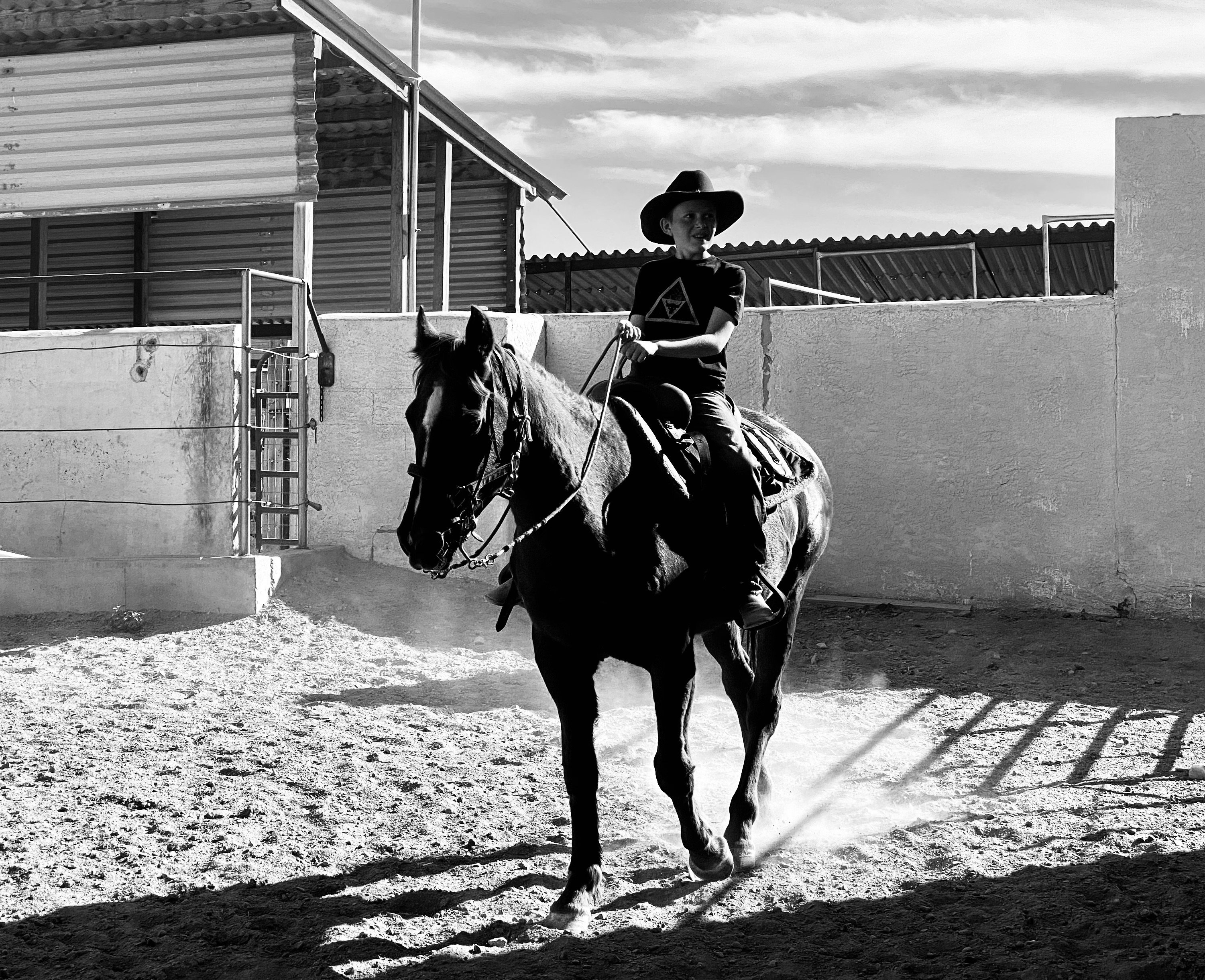 Horse and rider at Murphy's Livestock Auction