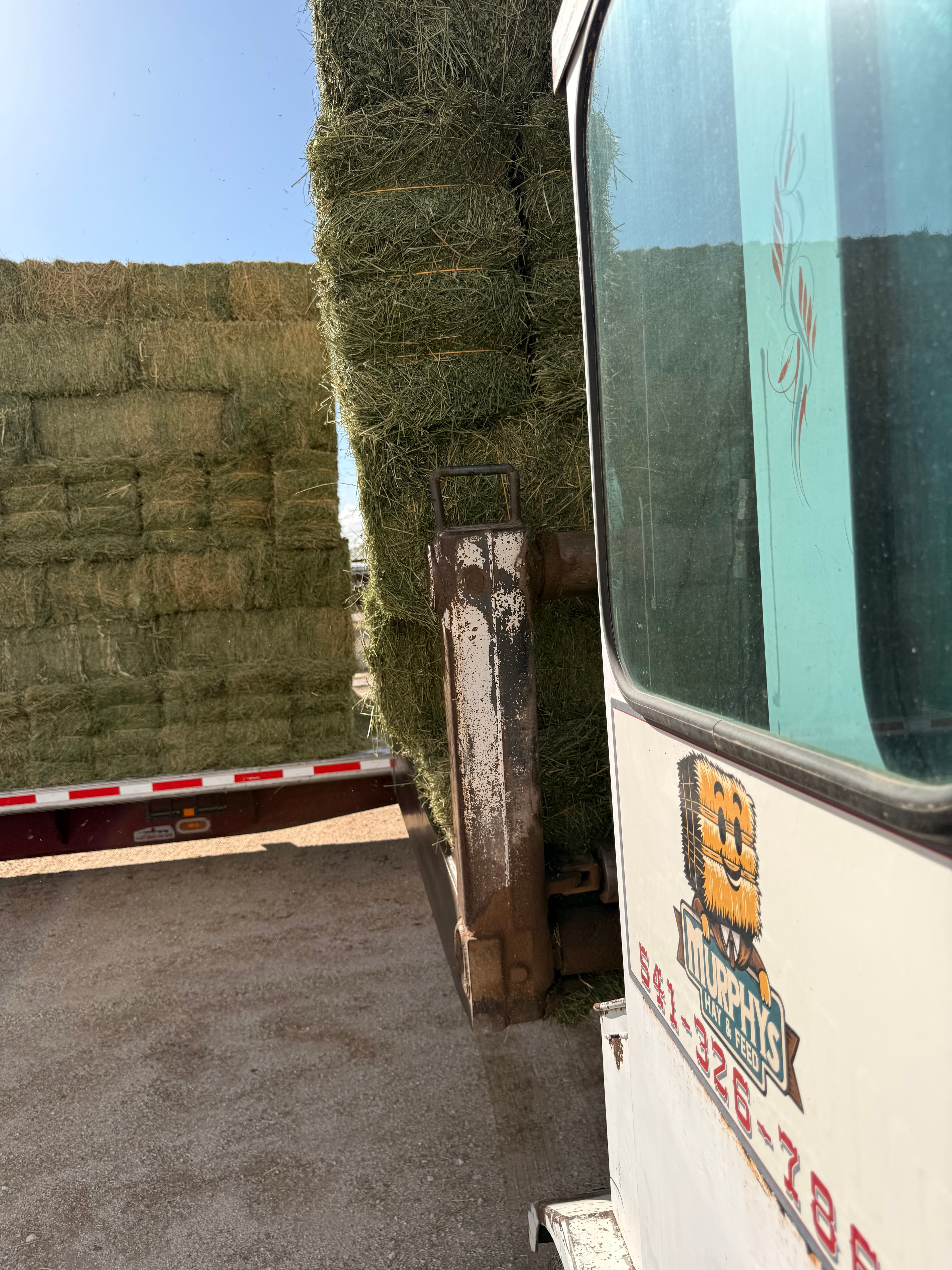 Hay bales at Murphy's Feed Store